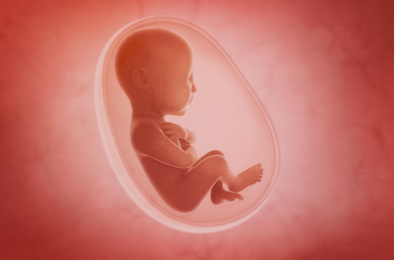 Cosas que un bebé puede hacer dentro del vientre y no sabías